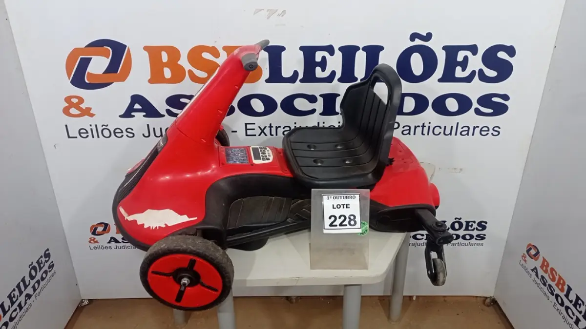 LOTE 228