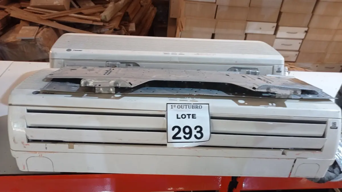 LOTE 293