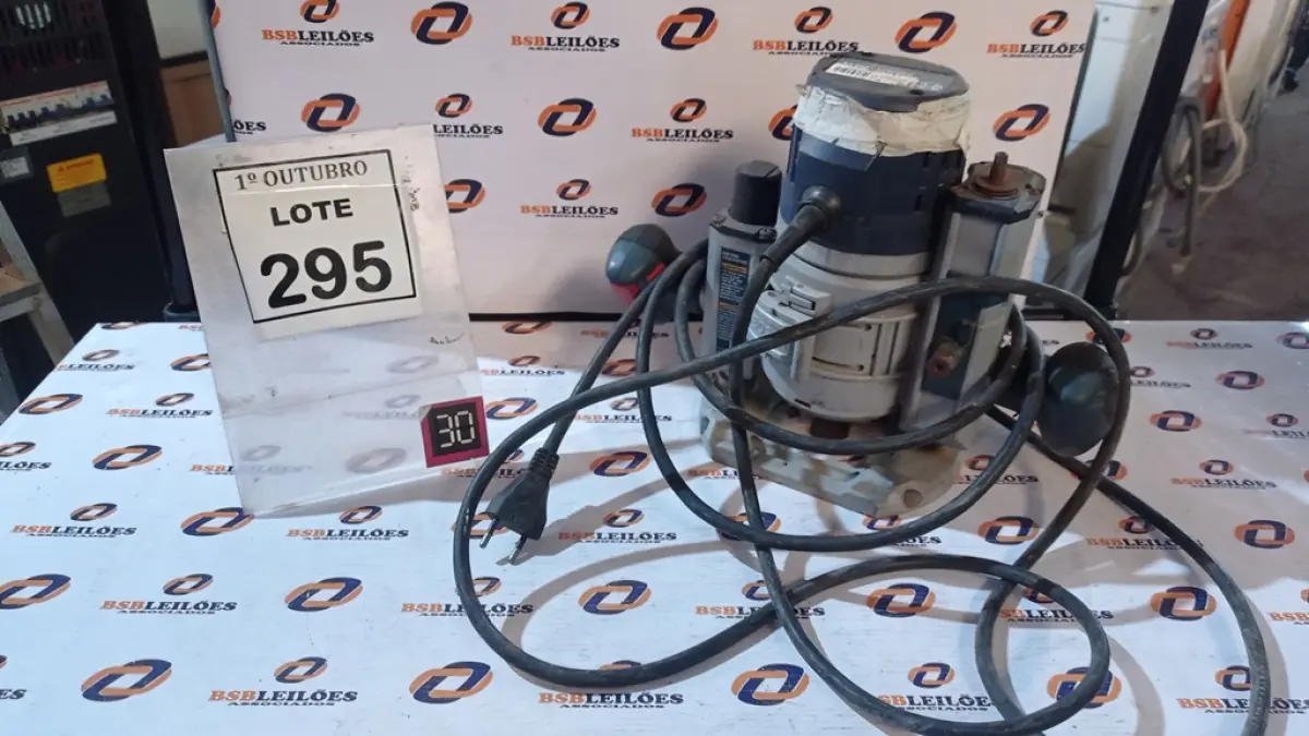 LOTE 295