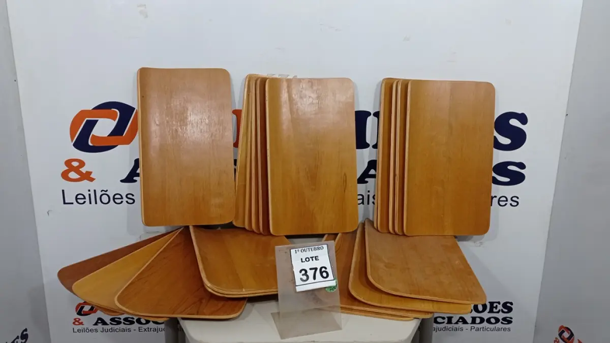 LOTE 376