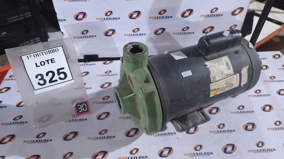 LOTE 325