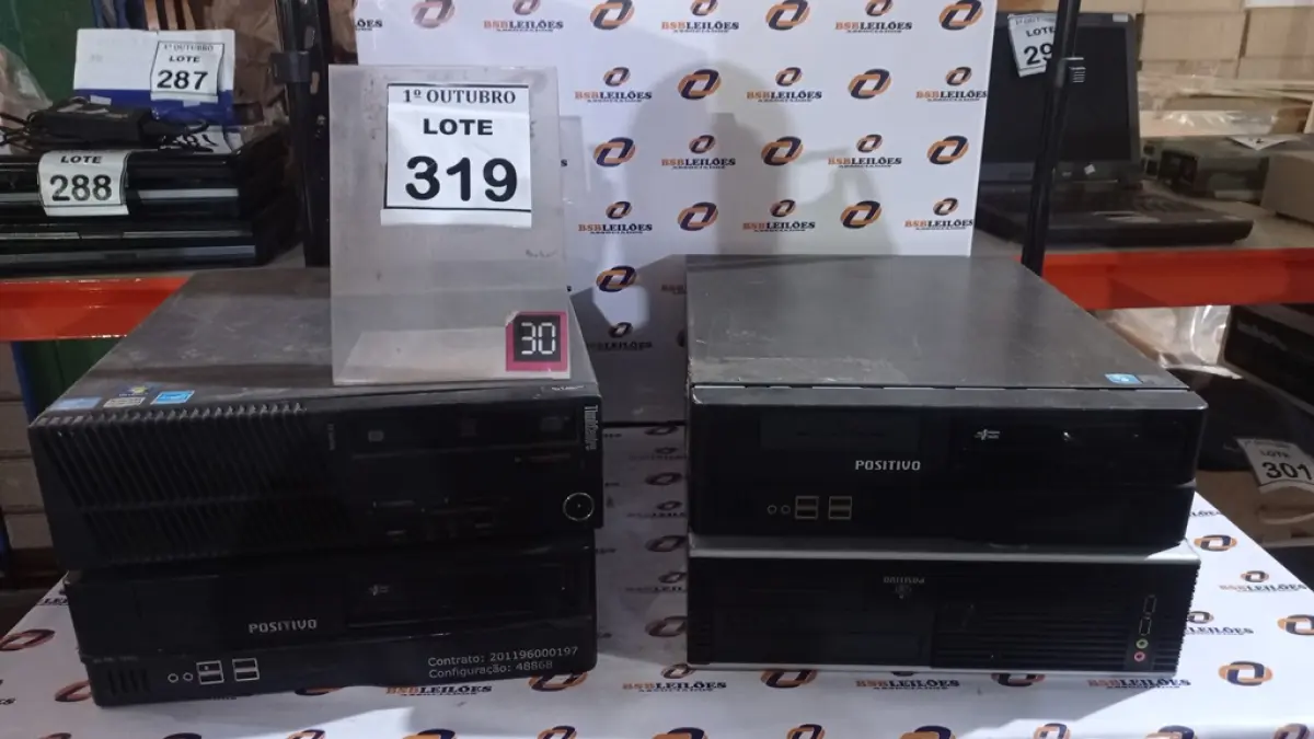 LOTE 319