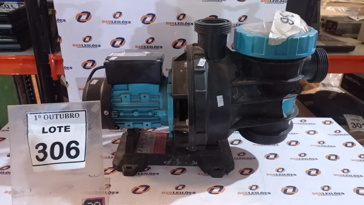 LOTE 306