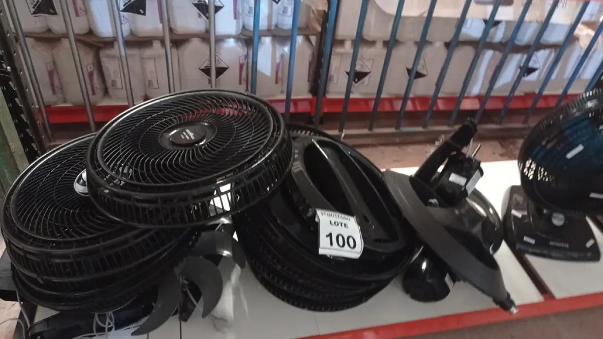 LOTE 100