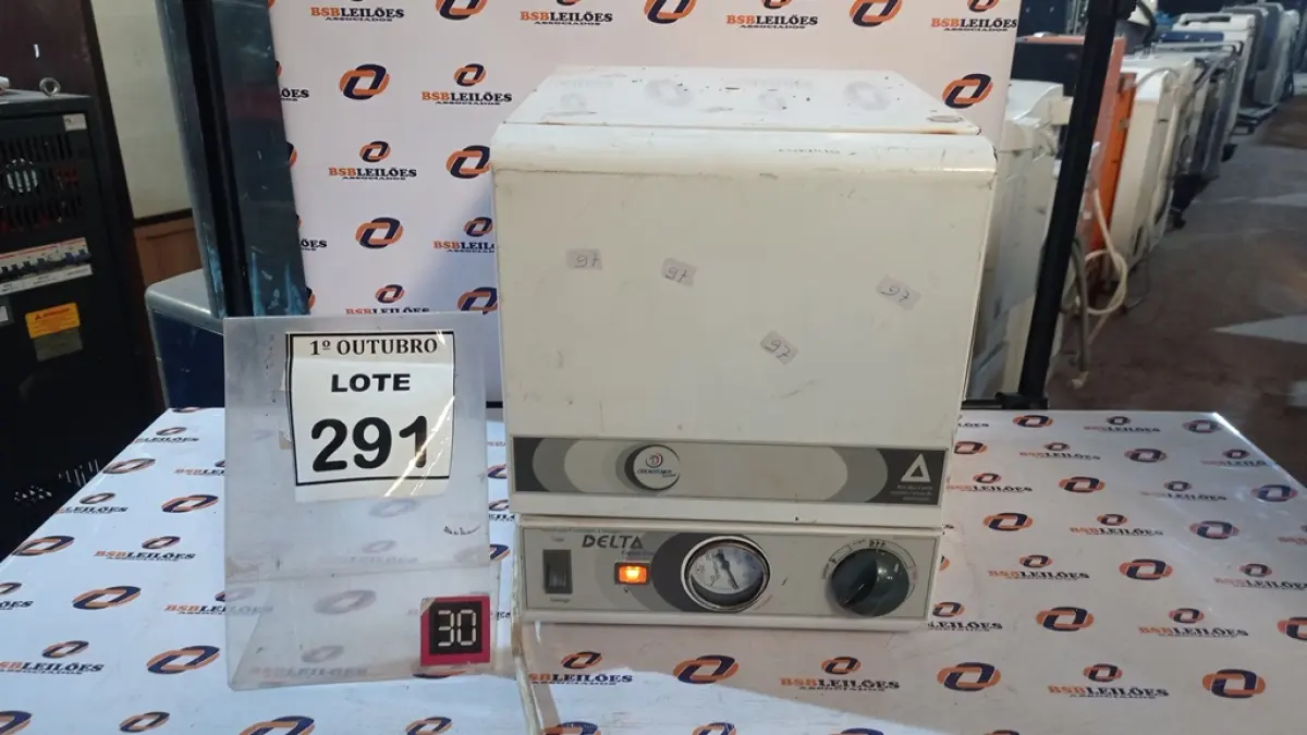 LOTE 291
