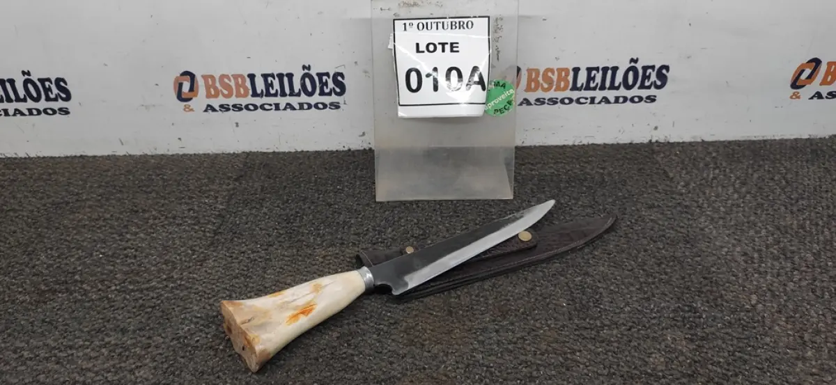 LOTE 010