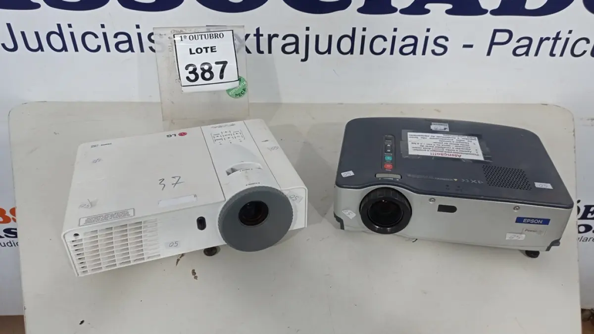 LOTE 387