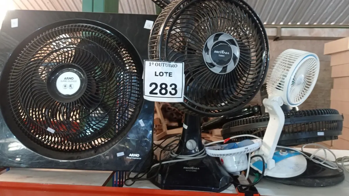 LOTE 283