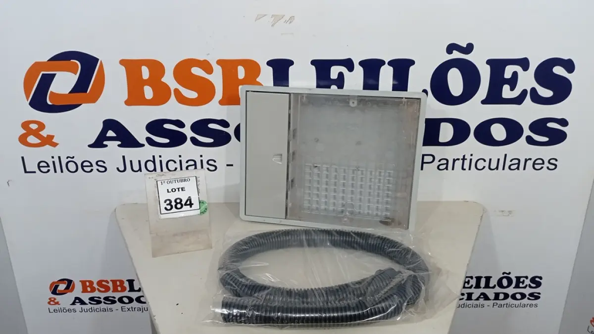 LOTE 384