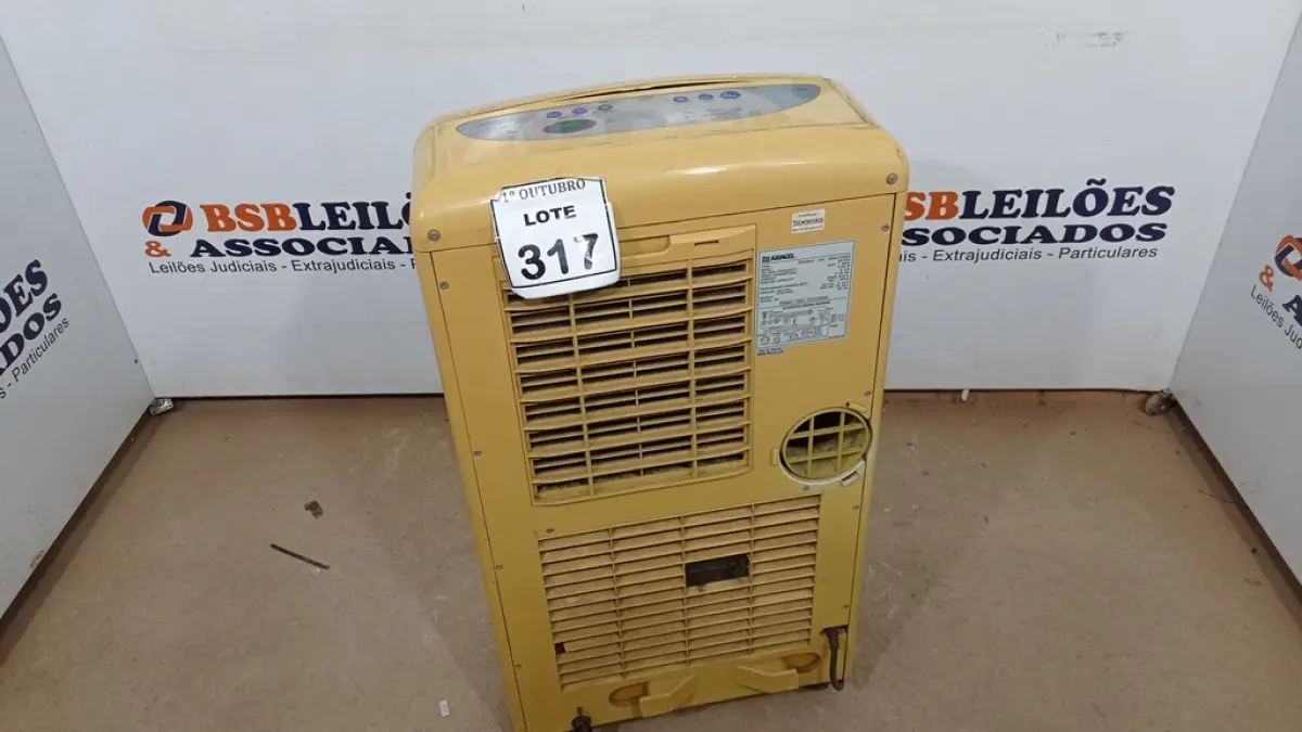 LOTE 317