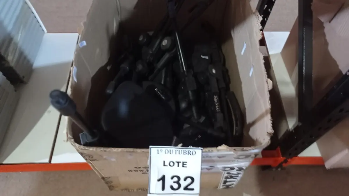 LOTE 132