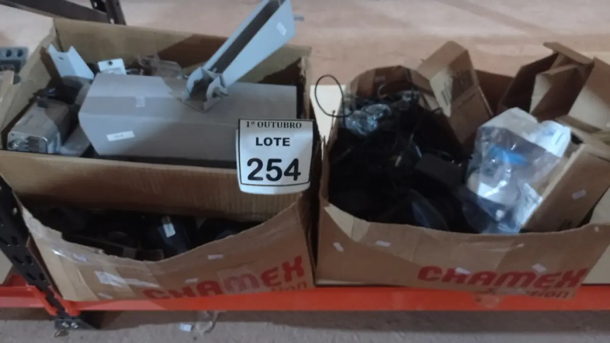 LOTE 254