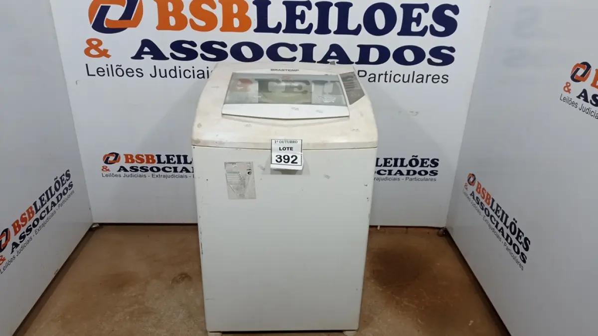LOTE 392
