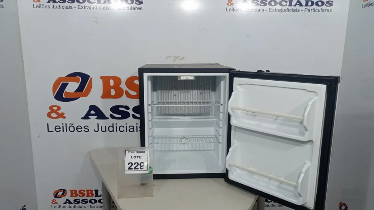 LOTE 229