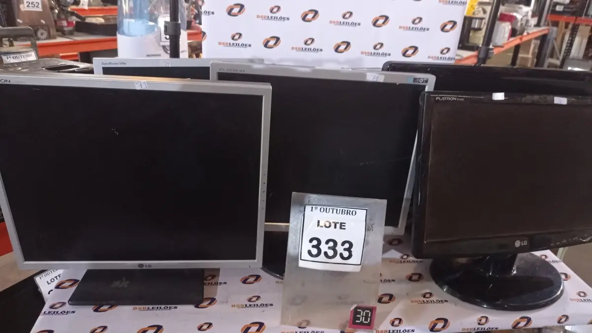 LOTE 333