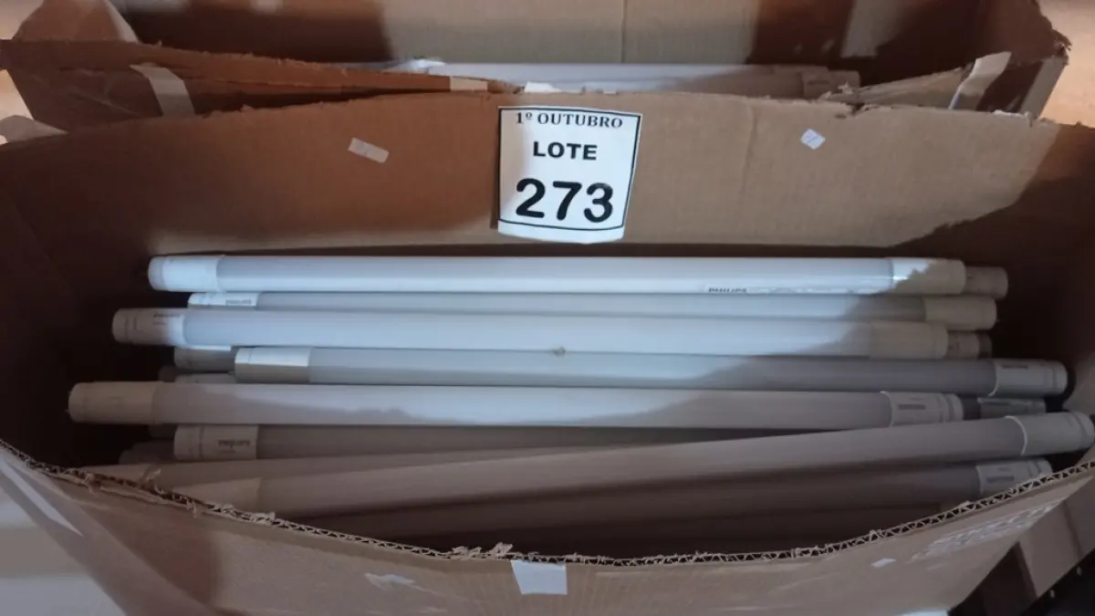 LOTE 273