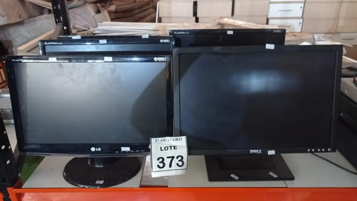 LOTE 373