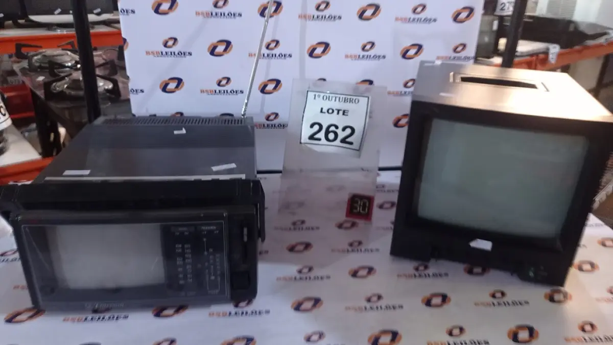 LOTE 262
