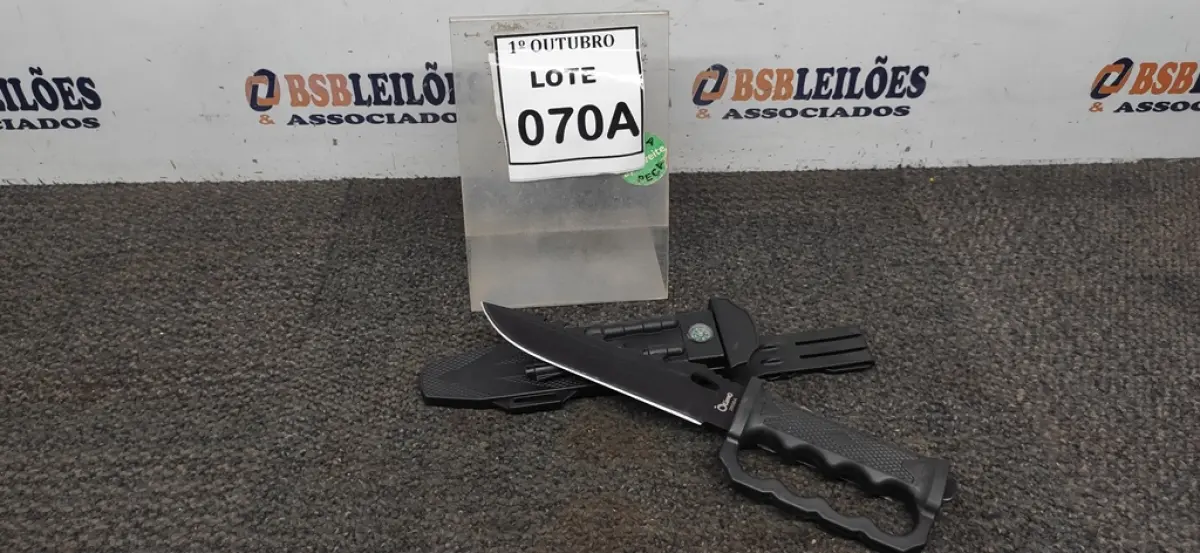 LOTE 070