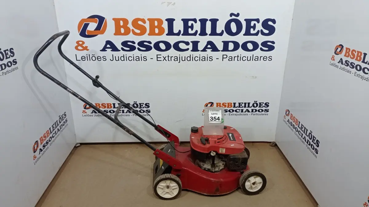 LOTE 354