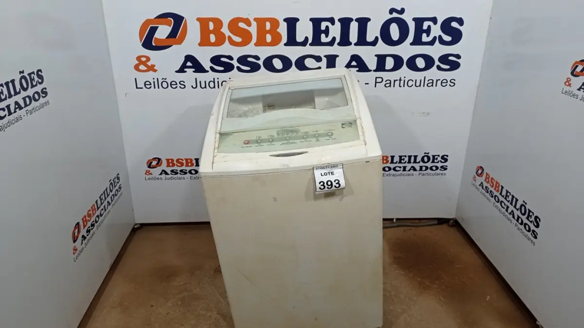 LOTE 393
