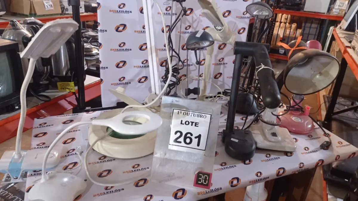 LOTE 261