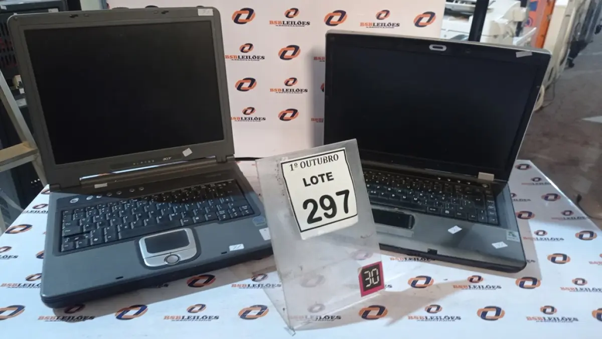 LOTE 297