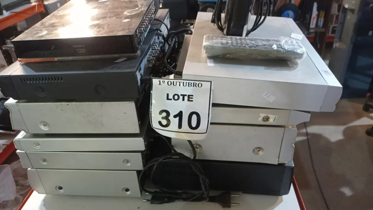 LOTE 310