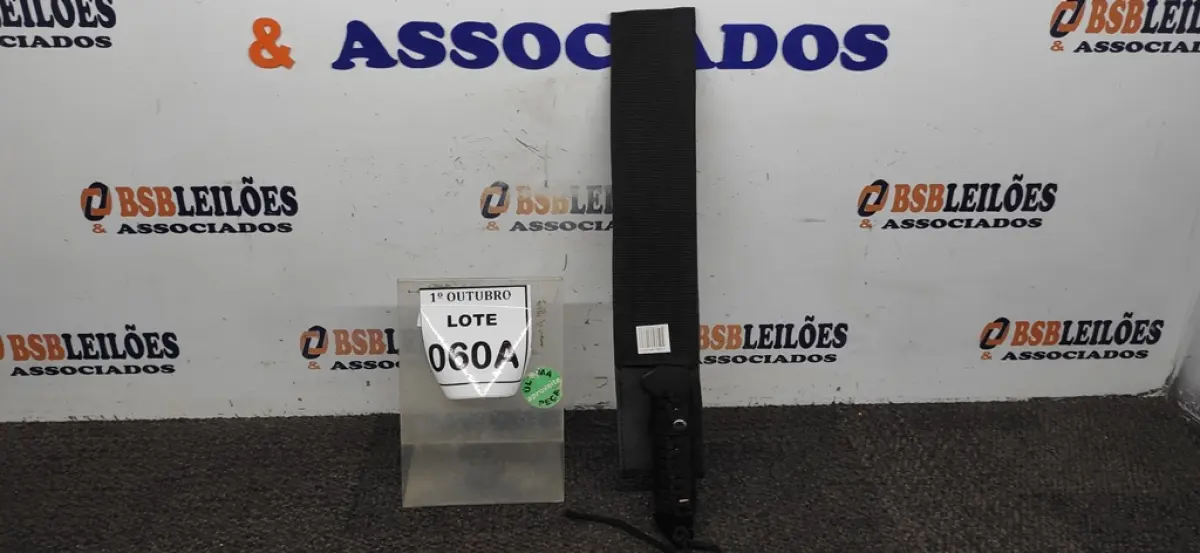 LOTE 060