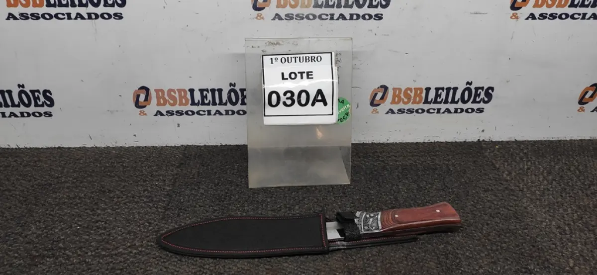 LOTE 030