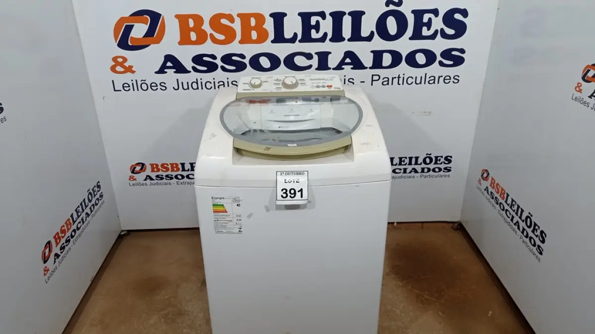 LOTE 391