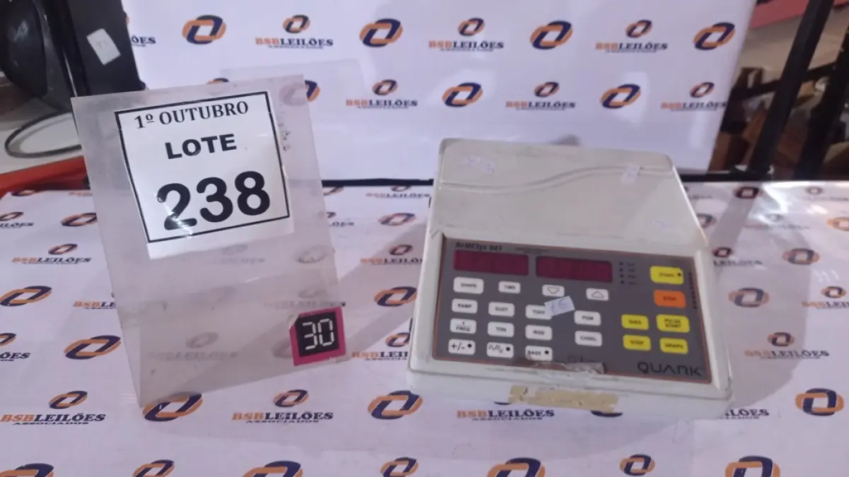 LOTE 238