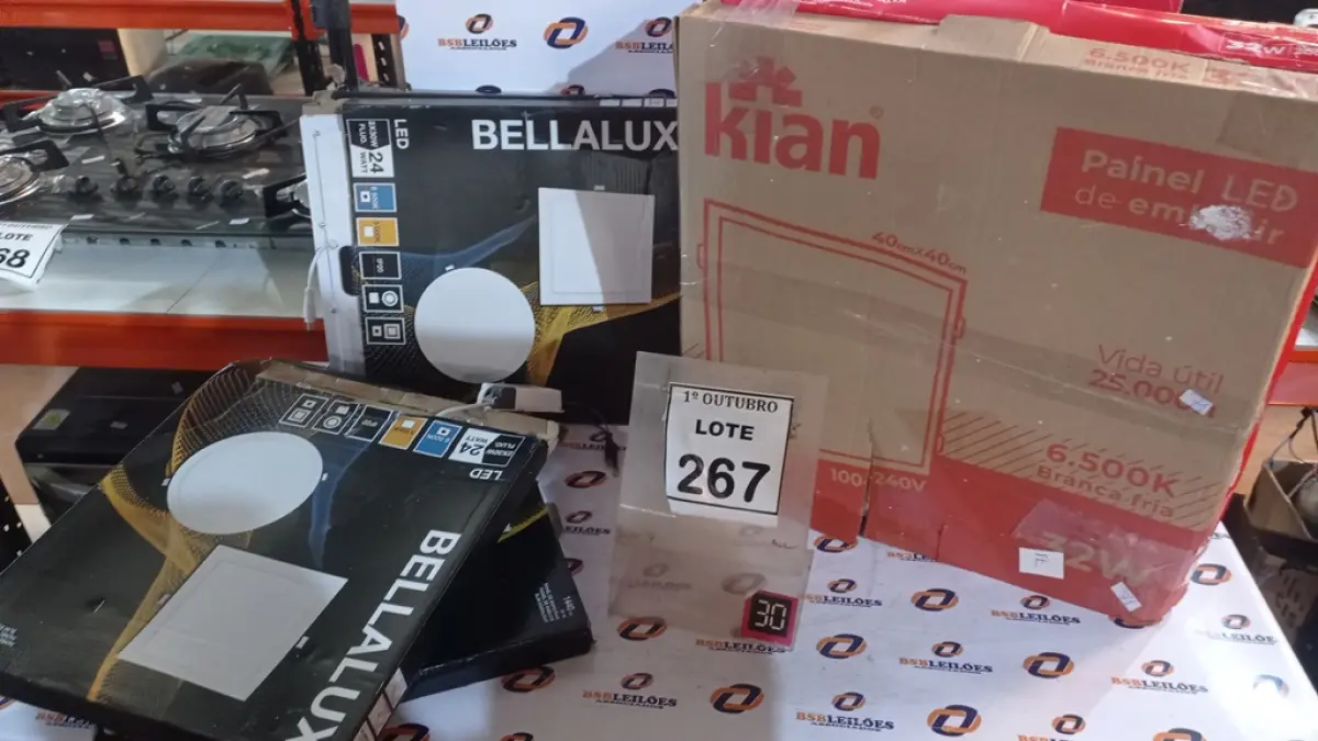 LOTE 267