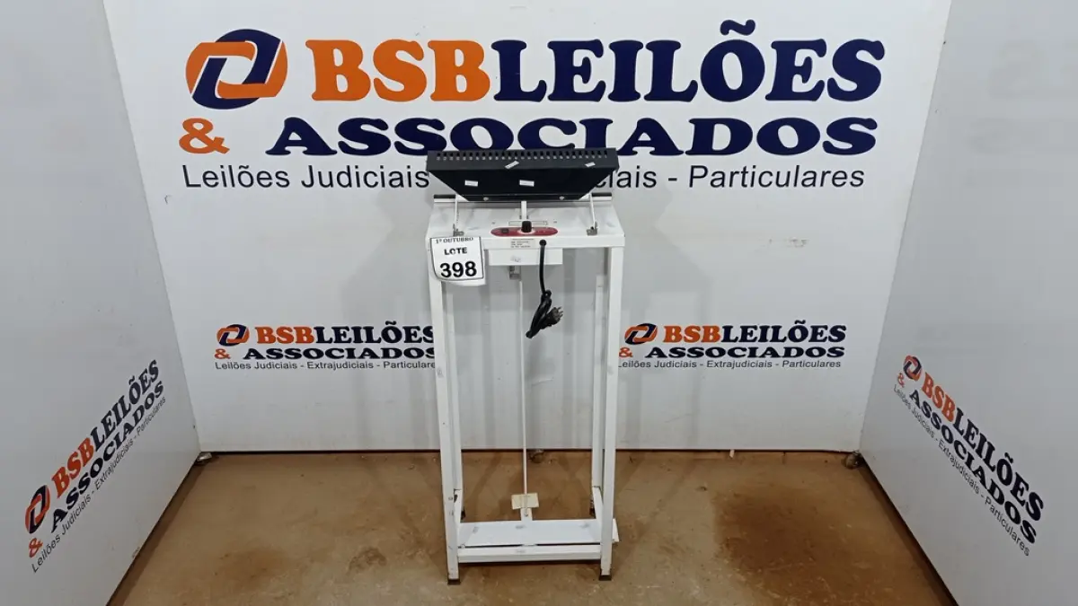 LOTE 398