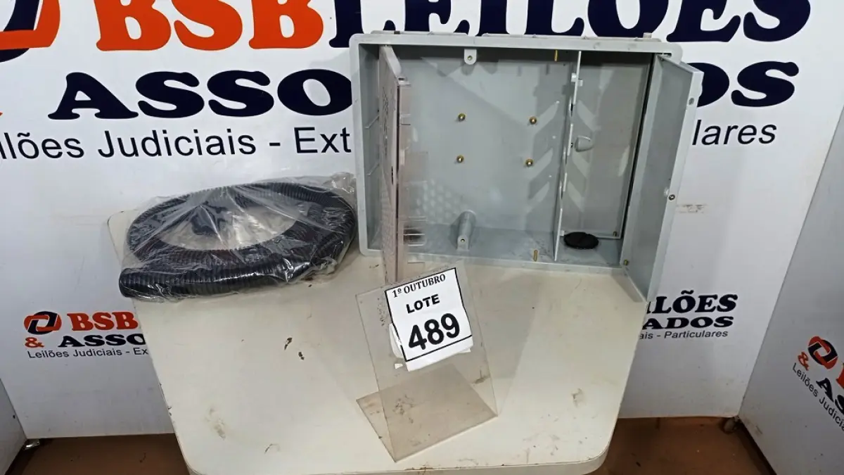 LOTE 489