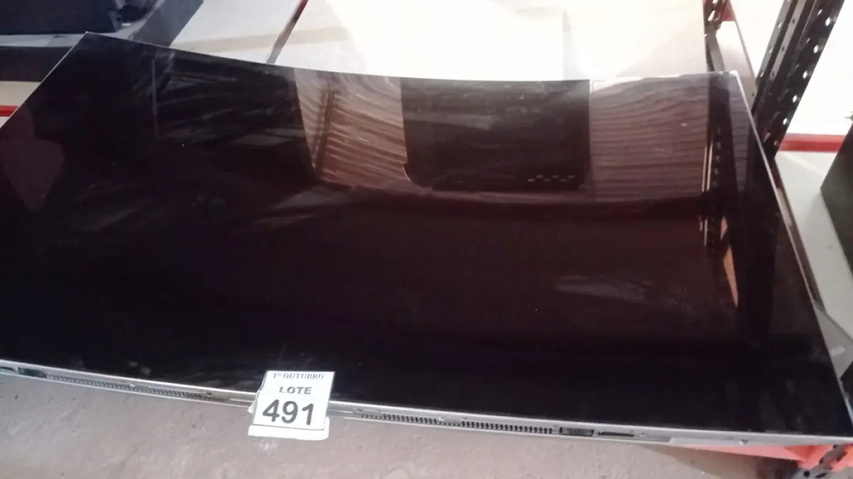 LOTE 491