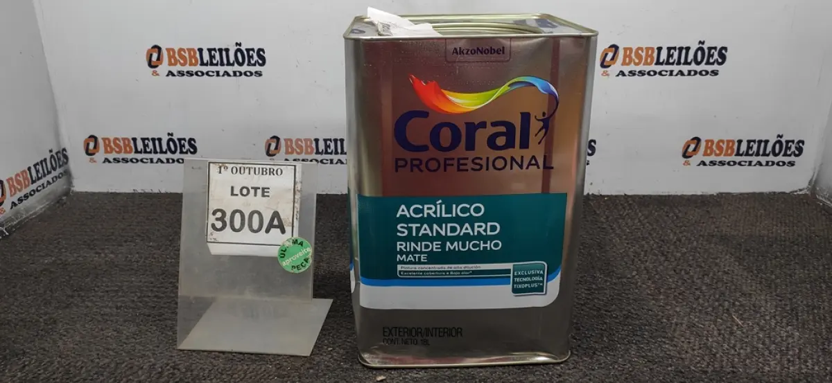 LOTE 300