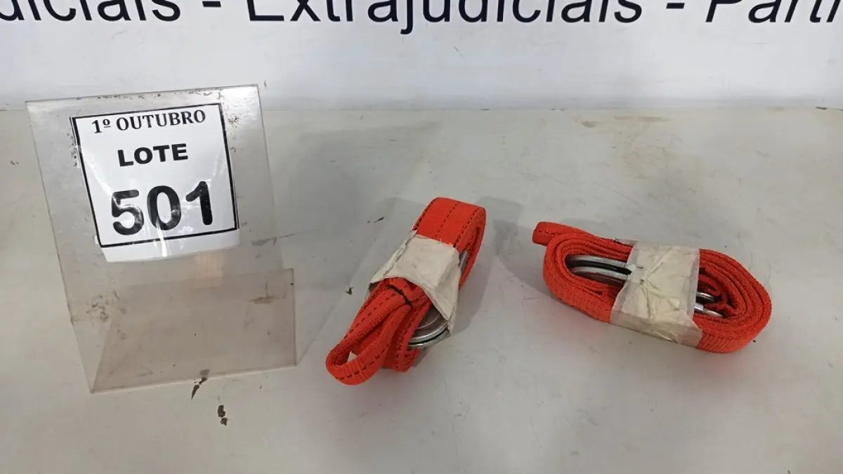 LOTE 501
