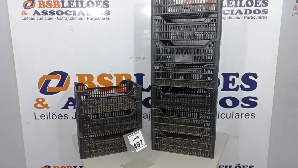 LOTE 497