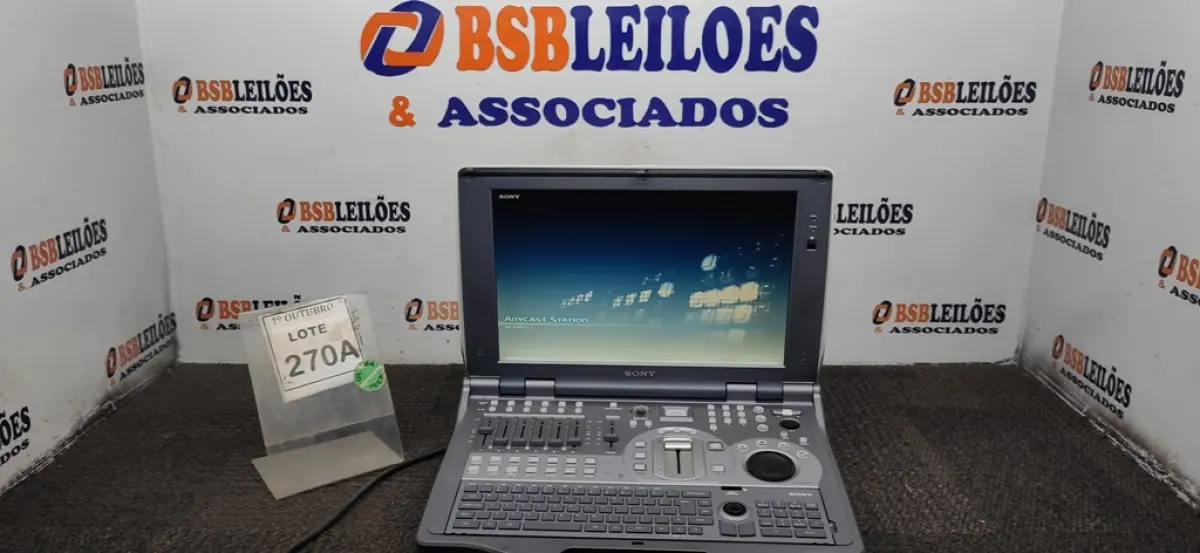 LOTE 270