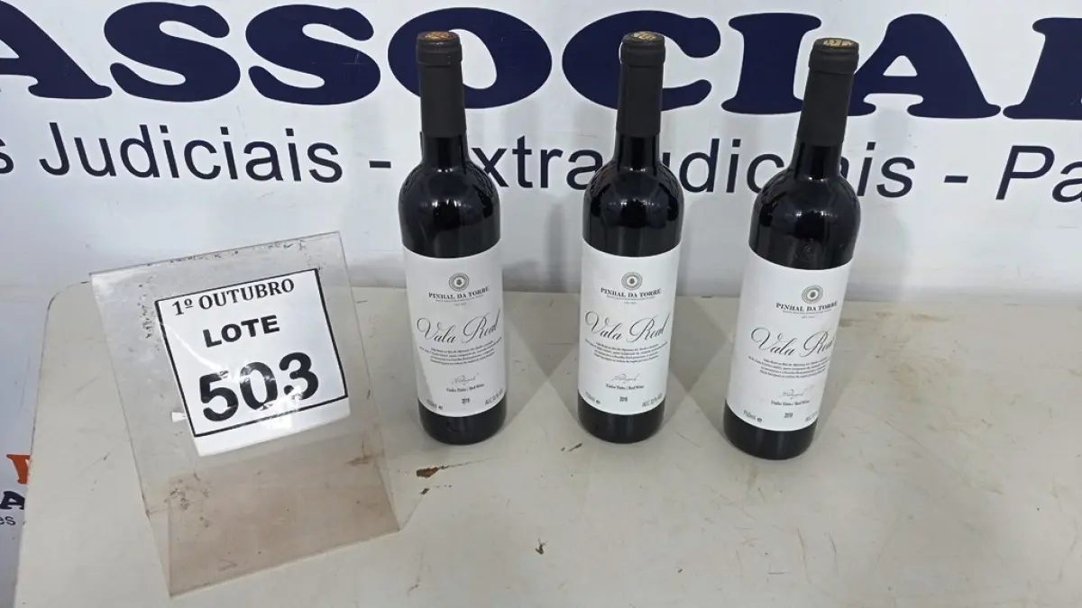 LOTE 503