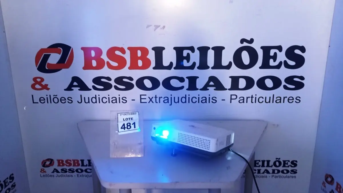 LOTE 481