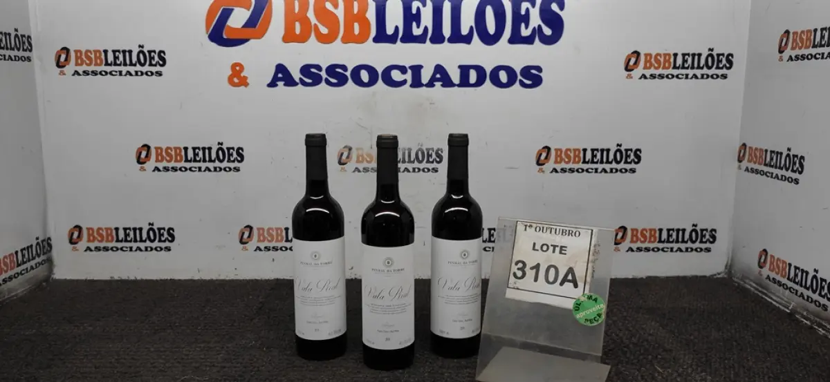 LOTE 310