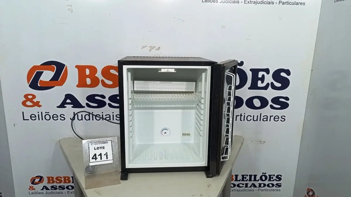 LOTE 411