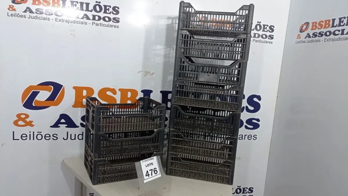 LOTE 476