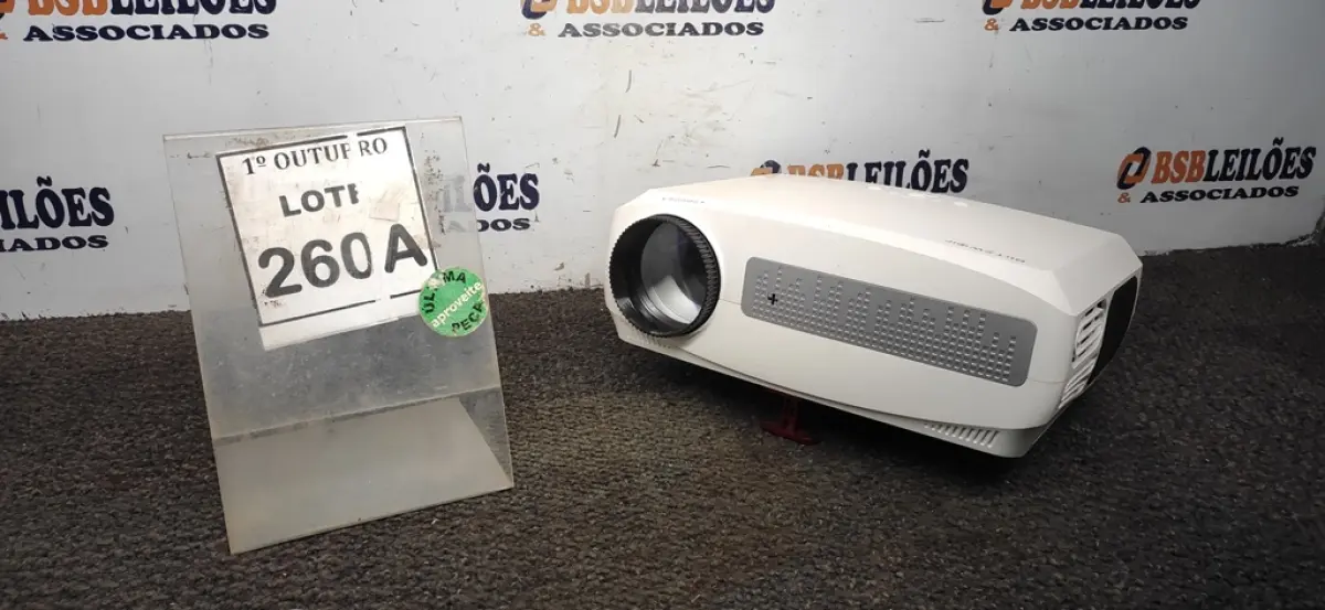 LOTE 260