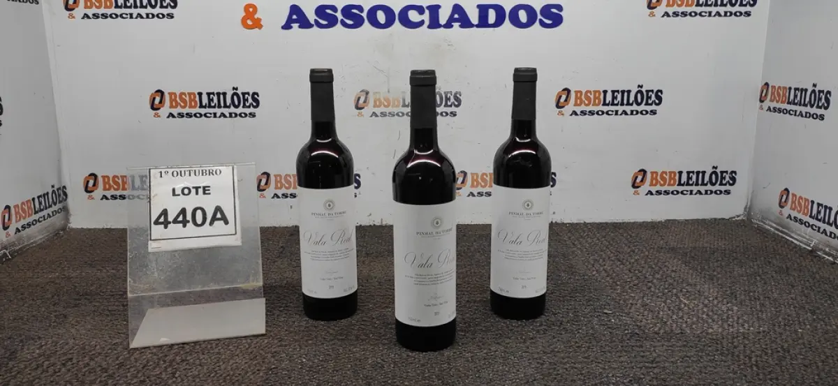 LOTE 440