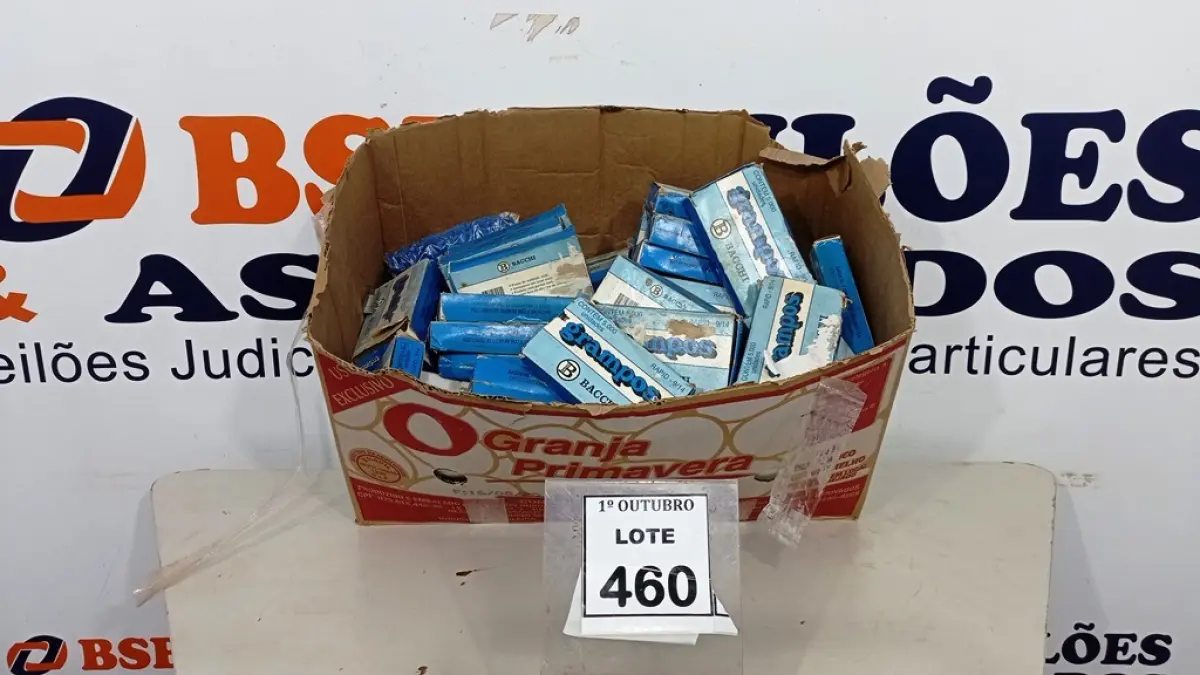 LOTE 460