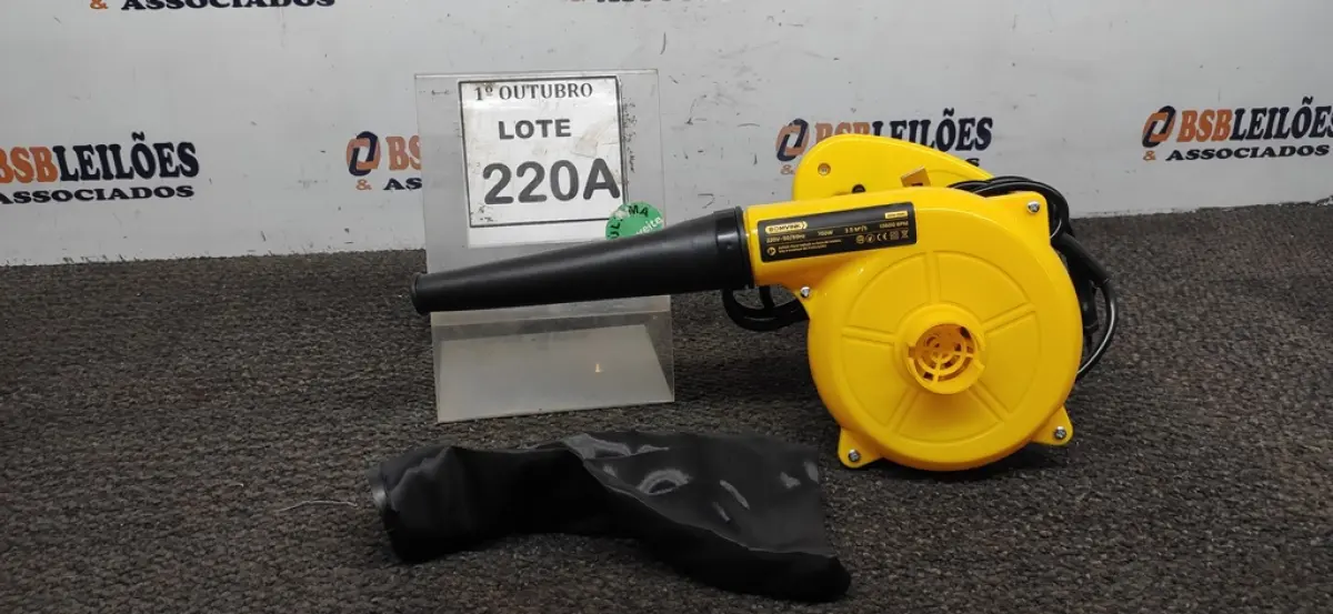 LOTE 220
