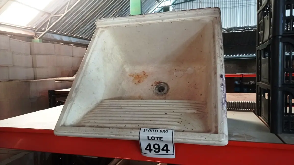 LOTE 494